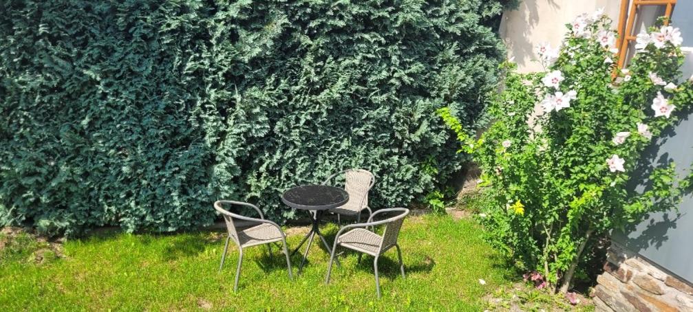 Ferienwohnung Eg Frauenmarkt 1 شنيهبرغ المظهر الخارجي الصورة